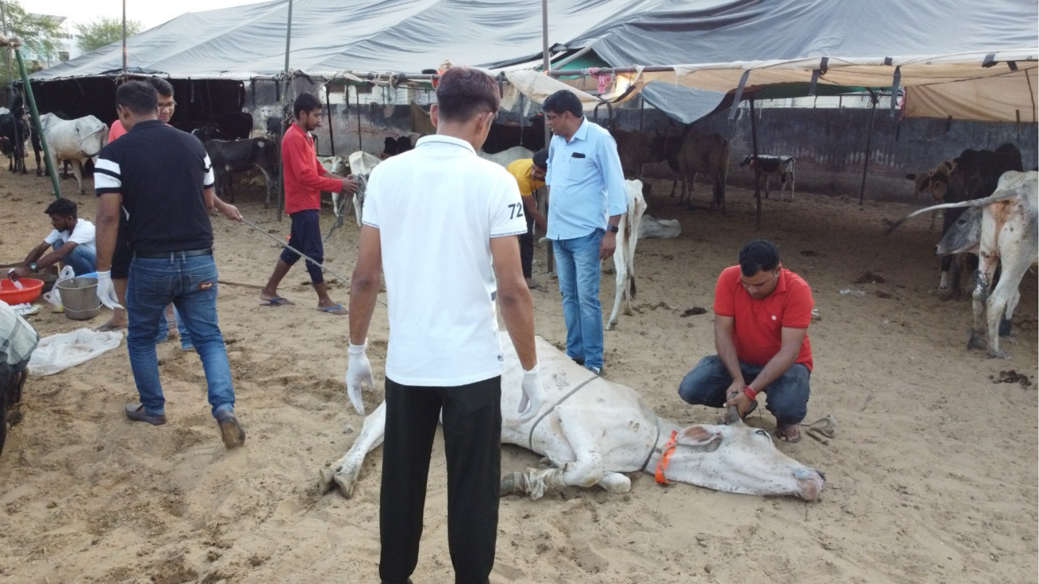 R P PANSARI JAN SEVA TRUST